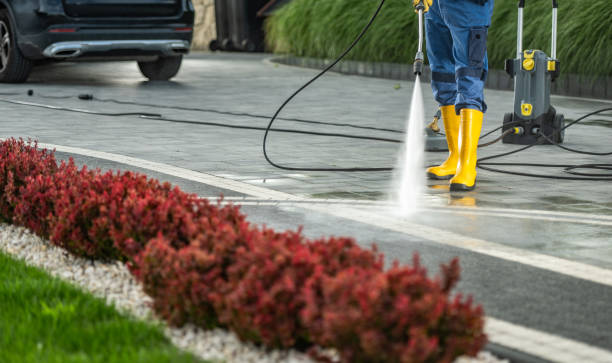 Best Pressure Washing Company Near Me  in Van, TX