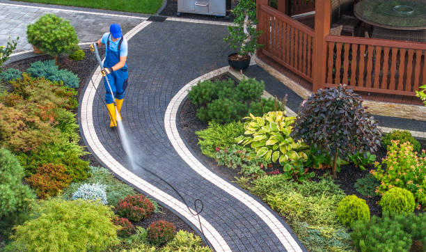 Best Roof Pressure Washing  in Van, TX