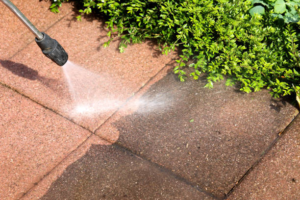 Best Roof Power Washing Services  in Van, TX